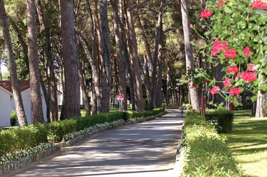 Villa Galijot Plava Laguna Porec Exterior photo